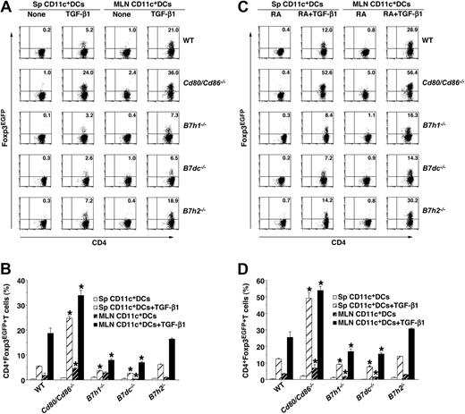 Figure 3. Role of B7 family members in the ability of systemic and MLN CD11c+ DCs to generate antigen-specific CD4+Foxp3+ iTregs from CD4+Foxp3– T cells. Generation of KJ1-26+Foxp3EGFP+ T cells from Sp KJ1-26+Foxp3EGFP− T cells by Sp or MLN CD11c+ DCs obtained from WT mice and the B7−/− mice in neutral conditions in the presence or absence of TGF-β1 (A-B) or TGF-β1 plus RA (C-D) was analyzed by flow cytometry. Data are represented by a dot plot, and numbers represent the proportion of Foxp3EGFP+ cells among gated CD4+ T cells in each quadrant (A,C) and are the percentage of positive cells (B,D). *P < .01 compared with WT mice. Data are the mean ± SD, and the results are representative of 4 independent experiments.