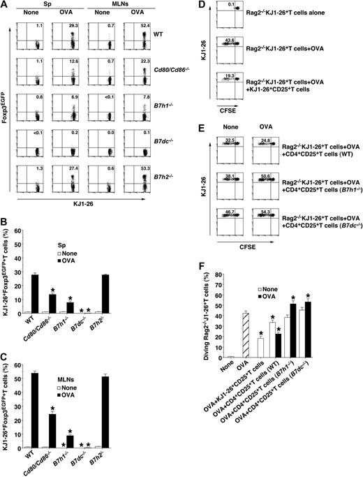 Figure 6. Role of the B7 family in antigen-specific de novo generation of CD4+Foxp3+ iTregs from CD4+Foxp3– T cells in Sp and MLNs. (A-C) Sp KJ1-26+Foxp3EGFP− T cells were transferred into WT mice and B7−/− mice (5 per group), and the animals were subsequently fed PBS (none) or OVA protein the day after the adoptive transfer. Expression of Foxp3EGFP among gated KJ1-26+ T cells in Sp (A-B) and MLNs (A,C) on day 11 after the adoptive transfer was analyzed by flow cytometry. Data are represented by a dot plot, and numbers represent the proportion of Foxp3EGFP+ cells among gated KJ1-26+ T cells in each quadrant (A) and are the percentage of positive cells (B-C). *P < .01 compared with WT mice. Data are the mean ± SD, and the results are representative of 4 independent experiments. (D-F) CFSE-labeled Sp Rag2−/−KJ1-26+ T cells (3 × 106/mouse) were transferred into WT mice (5 per group) with or without Sp CD4+CD25+ T cells (106/mouse) obtained from Foxp3EGFPDO11.10 mice (D,F), WT mice (E,F), and B7−/− mice (E-F) that had been fed PBS (none) or OVA protein, and the animals were subsequently injected with OVA protein the day after the adoptive transfer. CFSE dilution among gated KJ1-26+ T cells on day 3 after the injection with OVA protein was analyzed by flow cytometry. Data are represented by a dot plot, and numbers represent the proportion of CFSE dilution among gated KJ1-26+ T cells in each quadrant (D-E) and are the percentage of dividing cells (F). *P < .01 compared with Rag2−/−KJ1-26+ T cells plus OVA. Data are the mean ± SD, and the results are representative of 4 independent experiments.
