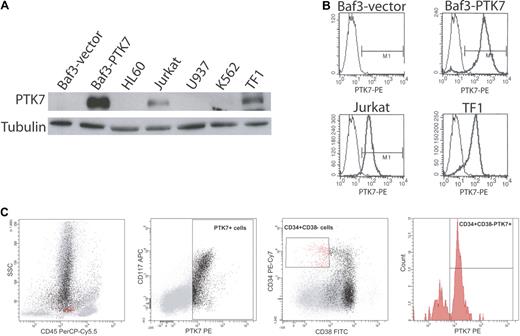 Figure 1. Expression of PTK7 in leukemia cell lines and in normal donor bone marrow. (A) Western blot analysis of leukemic cell lysates using a polyclonal anti-PTK7 antibody. These data were confirmed by flow cytometry using a monoclonal anti-PTK7 PE antibody (B). (C) Flow cytometric data on a normal donor marrow. PTK7+ cells are in black, and CD45dim CD34+ CD38− cells are in red. CD45dim CD34+ CD38− PTK7+ cells represent 65% of this population.