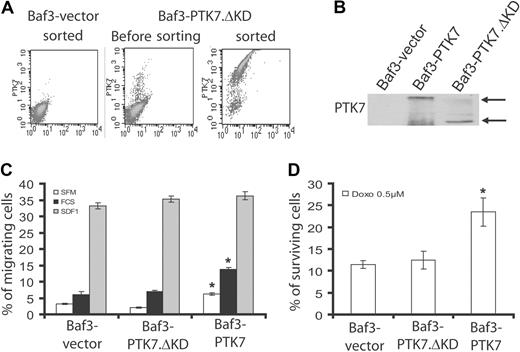Figure 7. The intracellular region is required for PTK7 functions. We constructed a PTK7 protein deleted of the intracellular domain (PTK7.ΔKD) and transfected the construct in the Baf3 cell line. (A) Cells were sorted by flow cytometry according to PTK7 expression at the cell surface. (B) In a Western blot with anti-PTK7 antibody, amounts of PTK7 and PTK7.ΔKD proteins were comparable in Baf3-PTK7 and Baf3-PTK7.ΔKD cells. Effect of this truncated form of PTK7 was evaluated in a cell migration assay (C) and in an anthracycline-induced apoptosis assay (D). In both settings, the results obtained for the Baf3-PTK7.ΔKD cell line were comparable with Baf3-vector. Student t test was used for statistics; all P values < .05.
