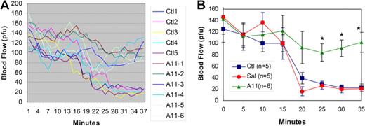 Figure 1. Effect of A11 on inhibition of FeCI3 induced carotid artery platelet thrombus formation. Swiss-Webster mice were injected intravenously with 25 μg of scFv A11 or irrelevant control scFv Ab (13CG2). The right carotid artery was exposed and a FeCI3 filter paper patch applied 2 hours after intravenously injection and removed at 20 minutes. Blood flow (recording in arbitrary perfusion units, pfu) was measured with a Doppler flow meter. (A) Mean continuous blood flow measured in 5 controls and 6 experimental A11 mice over a period of 38 to 43 minutes, respectively. (B) The same experiment with SEM given every 5 minutes as well as a single saline control experiment (SAL). *Statistically significant differences (P < .01) by post hoc Bonferroni testing scFv A11 versus either saline control (Sal) or control scFv Ab 13CG2 (Ctl) at 25, 30, and 35 minutes; n = 5 or 6 per group (SEM).