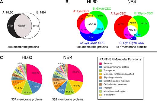 Figure 2. Mapping the cell surface proteome through complementary CSC technology variants. (A) Overlap of identified membrane proteins in AML cells. (B) Area-proportional Venn diagrams33 showing overlapping membrane protein identifications with complementary CSC technology variants in HL60 cells and NB4 cells, respectively. (C) PANTHER molecular functions of identified membrane proteins in AML cells.