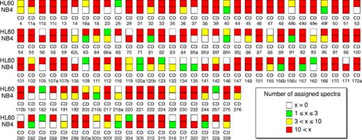 Figure 3. Extensive CD phenotyping of AML cells. Overview on 137 CD proteins identified in AML cells by the MS-based CSC technology. The inner color code of the squares visualizes the number of assigned spectra per CD protein for HL60 cells (top squares) and NB4 cells (bottom squares), respectively.