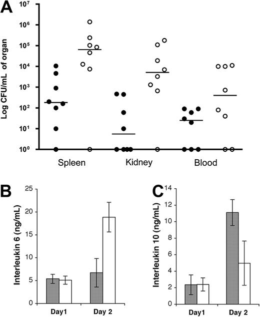 Figure 4. Bacterial dissemination and plasma IL-6 levels are significantly increased in HRG-deficient animals early during S pyogenes infection. Wild-type (●) or HRG-deficient animals (○) were infected with S pyogenes AP1 (1 × 107 CFU) by subcutaneous injection. (A) Two days after infection, surviving animals were killed, and the bacterial load in the spleen, kidney, and blood was determined. Data are expressed as CFU/mL of organ from each animal with lines drawn at the median for each group (n = 8). (B-C) IL-6 and IL-10 levels were determined in plasma samples from wild-type (gray bars) or HRG-deficient animals (white bars) taken one and 2 days after infection. Animals alive at these time points were included from both groups. Data are mean ± SEM; n = 7.