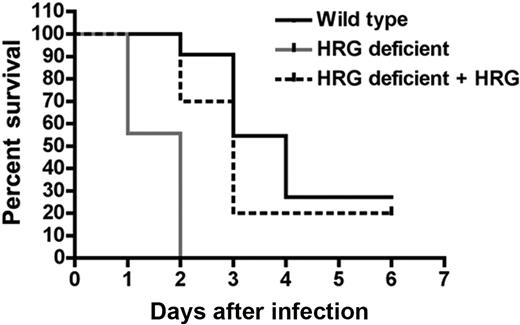 Figure 6. Reconstitution of plasma HRG improves survival after bacterial challenge of HRG-deficient animals. Wild-type (n = 11) or HRG-deficient animals (n = 9) were infected with S pyogenes (1 × 107 CFU/animal) by subcutaneous injection. One group of HRG-deficient animals (n = 10) received an intraperitoneal injection of purified HRG (500 μg/animal) at the same time point as bacteria and again at 24 hours after infection. The percentage survival per group is represented in a Kaplan-Meier survival curve.