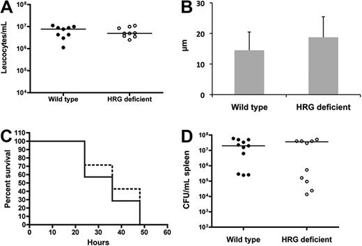 Figure 7. HRG-deficient animals do not have a systemic chemotaxis defect and are not more susceptible to systemic S pyogenes infection. (A) Wild-type or HRG-deficient animals (n = 9 per group) received an intraperitoneal injection with S pyogenes (1 × 107 CFU/animal). The animals were killed 18 hours later and leucocytes were counted in the peritoneal fluid. (B) Epidermal keratinocytes were isolated and cultured from wild-type and HRG-deficient animals. The media from these cells was tested in a neutrophil chemotaxis assay, and the migration was calculated. Data are representative of 3 experiments, which all gave the same profile of results. (C) Wild-type (unbroken lines) or HRG-deficient (broken lines) animals (n = 11 per group) received an intraperitoneal injection with S pyogenes (1 × 107 CFU/animal). Health status and survival were monitored and are represented in a Kaplan-Meier survival curve. (D) At the time of death the spleen was harvested, and bacterial load was determined for all animals.