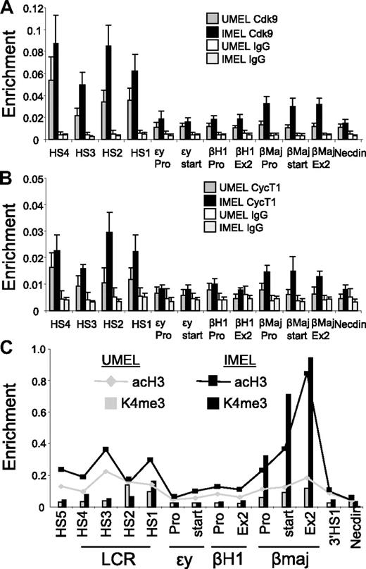 Figure 2. Enrichment of P-TEFb kinase at the β-globin LCR and promoter region in differentiating MEL cells and alterations in H3ac and H3K4me3. (A-C) Chromatin was prepared from MEL cells before and after 4 days of 2% DMSO treatment. ChIP was performed with antibodies to (A) Cdk9 or (B) CycT1. Necdin served as a negative control. Data are mean ± SEM. (C) Antibodies to acH3 or H3K4me3 were used in ChIP and graphed together by setting the highest value obtained with each antibody equal to 1. Lines represent AcH3; and bars, H3K4me3.