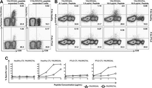 Figure 4. EBNA1 sequence variation influences CD8+ effector T-cell responses. Peptide-specific T cells from an HLA-B8 EBV-seropositive control and an HLA-B8 PTLD patient were expanded from their PBMCs using EBNA1 peptides YNLRRGIAL and YNLRRGTAL. (A) Specificity of the expanded T cells was determined using YNLRRGIAL-HLA-B*0801 or YNLRRGTAL-HLA-B*0801 allophycocyanin-labeled pentamer, PerCP-labeled anti–human CD8 monoclonal antibody and FITC-labeled anti–human CD3 monoclonal antibody. The percentage of CD8+ T cells is shown. (B) The YNLRRGIAL and YNLRRGTAL expanded T cells were restimulated with YNLRRGIAL and YNLRRGTAL peptides at various concentrations and assayed for IFN-γ and CD107a/b production as previously described in Figure 2. The CD107a/b results are shown for YNLRRGIAL expanded CD8+ T cells at various concentrations of matched peptide and YNLRRGTAL expanded CD8+ T cells with the highest concentration of matched peptide. (C) The YNLRRGIAL and YNLRRGTAL expanded T cells were also used in a standard 5-hour 51Cr release assay against autologous PHA blast cells that were pretreated with various concentrations of YNLRRGIAL or YNLRRGTAL peptide. Samples were tested in duplicate with less than 3% SEM and an effector/target ratio of 20:1.