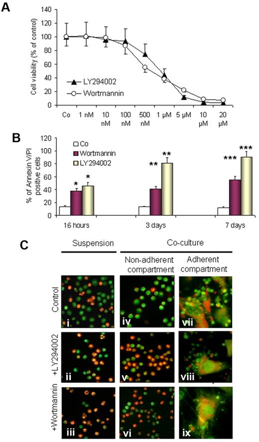 Figure 2. Effect of PI3-K inhibitors on the viability of CLL cells in cocultures. CLL cells from 10 patients with CLL were exposed to LY294002 (1μM) and wortmannin (0.5μM) in cocultures. Cell viability was assessed by MTT assays in triplicates, by annexin V/PI staining, and by acridine orange staining. A dose-dependent decrease in cell viability by both inhibitors is shown by MTT assays as reflected by the decrease in optical density (OD) and presented as a percentage of the control sample (A). A significant time-dependent proapoptotic effect is shown by annexin V/PI staining and FACS analysis (B); *P < .5, **P < .01, ***P < .001 after 1, 3, and 7 days, respectively. AO/EtBr staining was performed to visualize cell viability in suspension cultures (Ci-iii) and cocultures in nonadherent cells (Civ-vi) and adherent cell compartments (Cvii-ix) after exposure to LY294002 or wortmannin for 3 days. (A representative example of 10 experiments is shown in panel C).