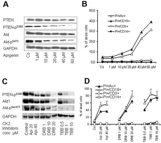 Figure 6. Effect of CK2 inhibitors on PTEN and Akt1 phosphorylation. PBMCs from 6 patients with CLL were treated with apigenin for 2 days in cocultures. Apigenin inhibited phosphorylation of PTEN at Ser-380 residue and its downstream target Akt1 pSer-473 as shown by Western blotting in a representative case (A), and this was associated with a significant decrease in cell viability as shown by annexin V/PI staining (B). The effect of CK2 inhibitor is more significant on CD19+ cells compared with T cells and monocytes. The effect of 3 CK2 inhibitors (apigenin, TBB, DRB) on PTEN and Akt1 dephosphorylation and on cell viability in coculture was confirmed in samples of 3 patients with CLL as shown (C and D, respectively). GAPDH indicates glyceraldehyde-3-phosphate dehydrogenase