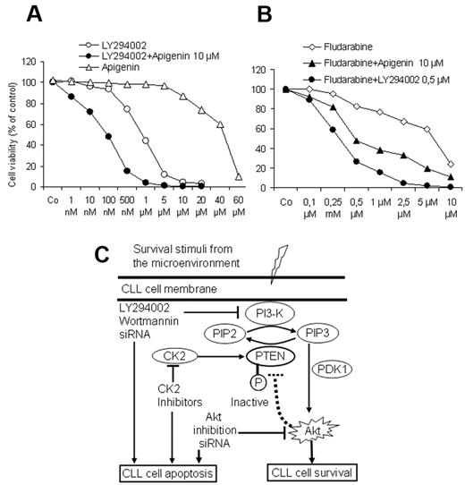 Figure 7. Effect of drug combination on cell viability. As shown by MTT assays (A), a suboptimal concentration of CK2 inhibitor apigenin (10μM) augmented the effect of the PI3-K inhibitor LY294002 on cell viability in cocultures in a synergistic manner. Similarly both compounds synergistically enhanced the effect of fludarabine and could overcome the supportive effect of BMSCs (B). Incubation time was 3 days in coculture, and the data represent the means ± SD of 5 independent experiments. The drug combination index was calculated as reported in Vazquez35 according to the formula: a/A + b/B = I, where (a) is the concentration that inhibits 50% (IC50) of fludarabine in combination with apigenin or LY294002 at concentration (b), A is the IC50 of fludarabine alone; and B is the IC50 apigenin or LY294002 in the absence of fludarabine. (I < 1 means synergistic interaction, I = 1 means additive, and I > 1 means antagonistic interaction.) (C) This model depicts the interaction between CLL cells and the lymphoid microenvironment represented by BMSCs. In this model, CLL cells receive several stimuli from the microenvironment that converge to activate the PI3-K, leading to generation of PIP3, phosphorylation of PDK1 and its downstream target Akt1, resulting in inhibition of apoptosis and prolongation of the lifespan of CLL cells. Because of the phosphorylation of PTEN, which diminishes its ability to convert PIP3 into PIP2, the activation of antiapoptotic PI3-K/Akt cascade persists. This antiapoptotic arm could be effectively counteracted at different sites by the inhibitors of the PI3-K and Akt and the recovery of PTEN activity by the CK2 inhibitors, consequently permitting the induction of spontaneous apoptosis and enhancing the response to cytotoxic compounds in CLL cells.