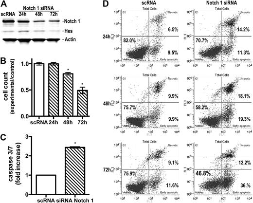 Figure 4. Specific down-regulation of Notch1 by siRNA induces apoptosis. (A) Down-regulation of Notch1 and Hes expression by Notch1 siRNA. Whole-cell extracts were prepared from Seax cells 24 to 72 hours after transfection with siRNA or scRNA (control) and probed with antibodies against intracellular Notch1 and Hes1, as in Figure 1. Band intensity quantification showed a decrease in Notch1 and Hes expression by 73% and 45%, respectively, 72 hours after transfection. (B) Influence of Notch1 siRNA on cell proliferation. Cells were transfected as in panel A and enumerated by flow cytometry 24, 48, and 72 hours after transfection. Bars represent mean values (n = 3) ± SD. *P < .05 compared with the scRNA-treated, control group. (C) Increase in caspase 3/7 activity in SeAx cells transfected with Notch1 siRNA. Caspases were measured, as described in Figure 2, 24 hours after transfection. Data are mean ± SD. *P < .001. (D) Induction of annexin V-positive, apoptotic cells 24 to 72 hours after transfection with Notch1 siRNA compared with the scRNA-transfected cells. Flow cytometry and enumeration of cells were done as described in Figure 2.