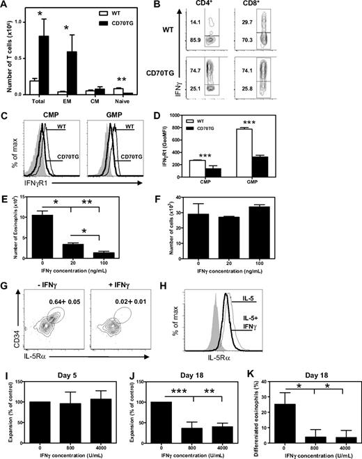 Figure 4. Development of eosinophils from myeloid progenitors is inhibited by IFN-γ. (A) Absolute numbers of total T cells and T-cell subsets in the bone marrow (1 femur and 1 tibia) of WT and CD70TG mice. EM indicates effector memory; and CM, central memory. (B) Intracellular expression of IFN-γ in CD3+CD4+ gated and CD3+CD8+ gated T cells from bone marrow of WT and CD70TG mice on phorbol myristate acetate and ionomycin stimulation (percentages are shown). (C) Expression of IFN-γR1 on CMPs and GMPs of WT (thin line) and CD70TG mice (bold line). Filled graph shows fluorescence-minus-one control staining. (D) Expression of IFN-γR1 on CMPs and GMPs as the average geometric mean fluorescence intensity (GeoMFI). (E) Number of eosinophils generated from 5.0 × 103 WT CMPs after 9 days of culture with SCF and IL-5 with or without addition of various concentrations of IFN-γ. (F) Number of cells generated from 2.5 × 103 WT CMPs after 9 days of culture with SCF, IL-5, and GM-CSF with or without addition of various concentrations of IFN-γ. (G) Representative plot of staining for CD34+ IL-5Rα+ EoPs gated on the Lineage−CD16/32+c-Kitlow compartment after a 3-day culture of GMPs in the presence of SCF, IL-3, IL-5, and GM-CSF with or without the addition of IFN-γ (data indicate percentage of EoPs from total cells). (H) Flow cytometric analysis of IL-5Rα expression on TF1 cells cultured with IL-5 in the presence (thick line) or absence (thin line) of IFN-γ. Isotype control is shown in shaded gray. (I-K) Human CD34+ progenitor cells were cultured for 3 days in the presence of SCF, FLT-3, GM-CSF, IL-3, and IL-5 followed by culture for 15 days in IL-3 and IL-5. Expansion of progenitor cells at day 5 (I) and day 18 (J) in cultures in the presence of IFN-γ, expressed as percentage of expansion in the cultures without IFN-γ. (K) Percentage of differentiated eosinophils after 18 days of culture analyzed after May-Grünwald Giemsa staining of cytospins. (A,D) Data are the mean of 3 mice per group. (E-F) Data are mean ± SD for 2 cultures per condition. (H) Data are mean ± SD for 4 cultures per condition. (A-H) Data are representative of at least 2 independent experiments. (I-K) Data are the mean of 3 independent experiments from different donors. Data are mean ± SD. *P < .05; **P < .01; ***P < .001.
