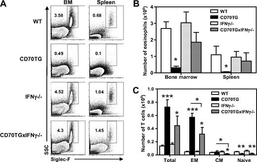 Figure 5. Reduced eosinophil development during CD70-mediated immune activation is IFN-γ dependent. (A) Representative plots of Siglec-F staining on bone marrow and spleens of WT, CD70TG, IFN-γ−/−, and CD70TGx IFN-γ−/− mice showing eosinophils as SSChiSiglec-F+ cells (percentages are shown). (B) Absolute numbers of eosinophils in the bone marrow (2 femurs and 2 tibiae) and spleens of these mice. (C) Absolute numbers of total T cells and T-cell subsets (percentages are shown) in the bone marrow of WT, CD70TG, IFN-γ−/−, and CD70TGx IFN-γ−/− mice. EM indicates effector memory; and CM, central memory. (B-C) Data are the mean of 3 individual mice per group. Data are mean ± SD. Experiments were performed at least 3 times with similar results. *P < .05; **P < .01; ***P < .001.