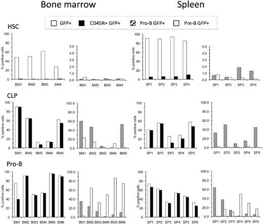 Figure 2. Phenotype of leukemias generated by HSCs, CLPs, and pro-B cells. Each cell population was transduced with BCR-ABL/GFP and transplanted into preconditioned Rag1−/− mice. Recipients were killed when they appeared moribund. Single-cell suspensions of bone marrow and spleen cells were prepared and examined for the expression of donor-derived GFP+ cells in combination with B-lineage cell-surface antigens. The left panel for each tissue shows the frequency of GFP+ cells in that tissue (□) and the proportion of these GFP+ cells that expressed CD45R(B220) (■). The right panel for each tissue shows the distribution of cells with a pro-B (▨) and pre-B-cell () phenotype among the GFP+ CD45R(B220)+ cells. Phenotypic analysis was performed as shown in supplemental Figure 1. Total average number of BCR-ABL/GFP+ cells in the bone marrow of mice that received transduced HSCs, CLPs, and pro-B cells was 12.8 (± 4.8) × 106, 17.6 (± 5.7) × 106, and 17.3 (± 9.5) × 106, respectively. Total average number of BCR-ABL/GFP+ cells in the spleen of mice that received transduced HSCs, CLPs, and pro-B cells was 116.4 (± 51.1) × 106, 35.2 (± 22.8) × 106, and 44.0 (± 29.7) × 106, respectively.