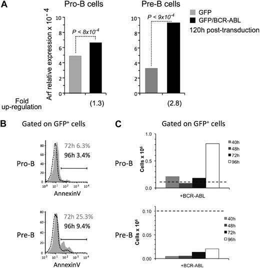 Figure 7. Pre-B cells up-regulate Arf in response to BCR-ABL expression. (A) expression of Arf relative to β-Actin was assessed by qPCR at 120 hours after transduction with a retrovirus encoding either GFP or BCR-ABL/GFP. The results are pooled from 2 independent experiments, and reactions for each experiment were run 2 to 4 times. (B) Frequency of apoptotic BCR-ABL/GFP–transduced pre-B cells and pro-B cells at 72 hours (gray shaded area) and 96 hours (area under dashed line) after transduction. Apoptosis was measured by annexin V staining. (C) Number of BCR-ABL/GFP–expressing pro-B and pre-B cells harvested from cultures at 40, 48, 72, and (in an independent experiment) 96 hours after culture initiation. Dashed horizontal line indicates the number of cells (105) used to initiate cultures.
