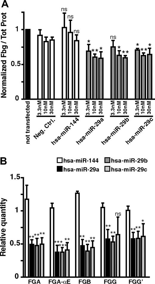 Figure 2. Down-regulation of fibrinogen production by hsa-miR-29 family members. (A) The normalized secreted fibrinogen (Fbg) levels for hsa-miR-29a, hsa-miR-29b, and hsa-miR-29c. Precursors were transfected at 3 concentrations (3.3, 10, and 30nM, gray bars), and secreted fibrinogen was analyzed. A negative control miRNA precursor (Neg. Ctrl.) and hsa-miR-144, which had no effect on fibrinogen production in the screen, were used as negative controls (▭). A nontransfected control was used as the normalizing condition (▬). P values were calculated for experimental data versus values for Neg. Ctrl. (B) Relative steady-state levels of each of the 5 fibrinogen transcripts (FGA, FGA-αE, FGB, FGG, and FGG′) were quantified by quantitative RT-PCR from RNA samples of HuH7 cells transfected with 30nM hsa-miR-29. hsa-miR-144 was used as a negative control. P values were calculated for experimental data versus values for hsa-miR-144: *P < .05, **P < .01, ***P < .001 (2-sided t test). Error bars represent SD; n = 3. ns indicates not significant.