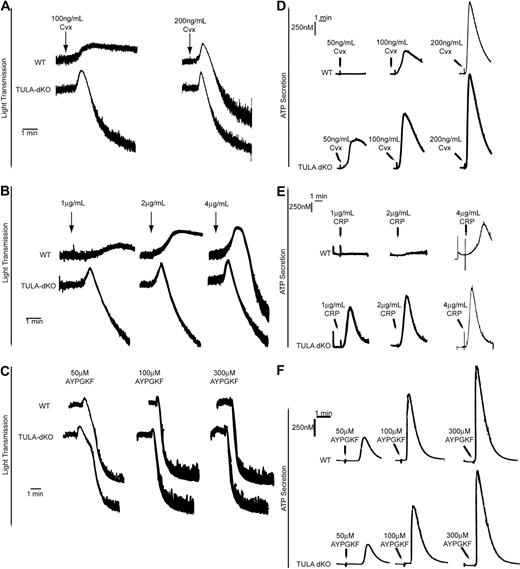 Figure 6. Platelet aggregation and dense granule secretion in wild-type and TULA-dKO platelets. (A) Isolated wild-type and TULA-dKO platelets were stimulated with 100 ng/mL or 200 ng/mL convulxin, and the change in light transmittance was observed. (B) Same as panel A, except that platelets were stimulated with 1, 2, or 4 μg/mL CRP. (C) Same as panel A, except that platelets were stimulated with 50, 100, or 300μM AYPGKF. (D) Simultaneous to platelet aggregation studies, dense granule secretion was measured by monitoring adenosine triphosphate release using a luciferin-luciferase reagent; 50, 100, and 200 ng/mL convulxin were used. (E) Same as panel D, except that platelets were stimulated with 1, 2, or 4 μg/mL CRP. (F) Same as panel D, except that platelets were stimulated with 50, 100, or 300μM AYPGKF. All traces are representative of 3 experiments.