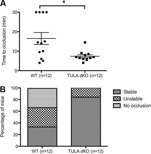 Figure 7. FeCl3 thrombosis injury model in wild-type and TULA-dKO murine platelets. Wild-type and TULA-dKO mice were subjected to injury of the left carotid artery by 7.5% FeCl3 for 2 minutes, and the time to occlusion and thrombus stability was noted. (A) Plot of time to occlusion for each group of mice; n = 12 for each group. Calculations were 16.5 ± 3 minutes for wild-type and 7.37 ± 0.76 minutes for TULA-dKO (mean ± SD). Statistical analysis was performed using an unpaired t test. (B) Plot of thrombus stability, defined as a complete occlusion for at least 5 minutes.