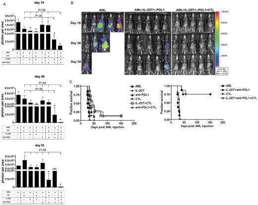 Figure 6. Combined IL-2DT and anti–PD-L1 mAb had superior antitumor effect to either treatment alone and, when coupled with anti-AML CTLs, more rapidly and uniformly reduced AML tumor burden. B6 mice (10 mice/group) were injected with 106 C1498FFDsR cells followed by IL-2DT, anti–PD-L1 mAb, and/or anti-AML CTL treatment as described. Whole body imaging was performed to determine tumor burden 19, 26, and 33 days after AML injection. (A) Tumor burden was decreased by combination therapy. IL-2DT, but not anti–PD-L1 mAb alone, significantly reduced tumor burden at an early time point (day 19). Combined IL-2DT and anti–PD-L1 had superior effect compared with either treatment alone. Although CTL therapy alone did not significantly decrease AML tumor burden at any time point, adding CTL therapy to IL-2DT and anti–PD-L1 mAb treatment resulted in the greatest and most consistent decrease in AML tumor burden throughout the 33-day post-AML challenge observation period. *P < .05 compared with nontreated AML controls. Error bars represent SEM. (B) BLI studies of 5 mice per group receiving AML with or without IL-2DT, anti–PD-L1 mAb, and CTL therapy are shown. On day 19, 2 of 5 mice receiving IL-2DT and anti–PD-L1 mAb had detectable tumor versus 0 of 5 mice also receiving CTLs. (C) IL-2DT or anti–PD-L1 mAb treatment alone significantly prolonged the survival mice compared with either control mice or mice treated with CTLs alone (♦ and ▴ vs ■ or ▾, P < .05). Combined IL-2DT with CTLs or anti–PD-L1 mAb with CTLs had superior effect compared with either control mice (■, P < .05) or mice receiving IL-2DT (♦, P < .05), anti–PD-L1 mAb (▴, P < .05), or CTL single treatment (▾, P < .05). Combined IL-2DT and anti–PD-L1 mAb with (●) or without CTLs (▿) had the best survival outcome compared with single treatment or in combination with CTLs.