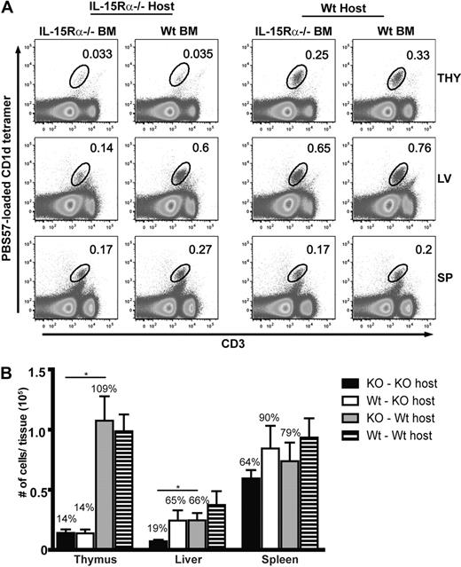 Figure 1. Tissue-specific recovery of iNKT cells in IL-15Rα BM chimeras. (A-B) Tissue-resident iNKT cells or iNKT subsets were identified in the thymus, spleen, and liver of IL-15Rα−/− BM chimeras 8 to 10 weeks after irradiation and BM reconstitution by flow cytometric analysis. (A) Representative flow cytometric plots of CD1d tetramer+CD3+ cells from the indicated tissues. (B) Absolute numbers of CD1d tetramer+ cells in the respective tissues from the indicated groups. Error bars represent SEM, and the numbers above bars represent the percentage of WT levels. *P ≤ .05. Data are the average from 3 independent experiments: n = 9 mice per group for the thymus and n = 8 for the liver and spleen. Statistic significance was examined by unpaired Student t test.