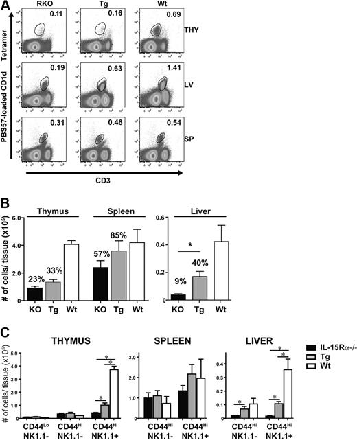 Figure 2. IL-15Rα+ DCs partially recover peripheral iNKT cells. (A) Representative flow cytometric plots of CD1d tetramer+ CD3+ cells in the thymus, liver, and spleen of IL-15Rα−/− (left column), CD11c/IL-15Rα Tg (middle column), and WT (right column) mice. Plots are representative of 3 independent experiments. (B) Absolute numbers of iNKT cells as detected by CD1d tetramer were calculated for each group of mice, IL-15Rα−/− (■), CD11c/IL-15Rα Tg (), and WT (□), in the respective tissues. Error bars represent SEM, and the numbers above bars represent the percentage of WT levels. *P ≤ .05. Data are the average of 3 independent experiments; n = 6/group. Tg and WT iNKT cell numbers were statistically compared against total iNKT from IL-15Rα−/− mice. (C) Absolute numbers of iNKT subsets as determined by CD44 and NK1.1 expression in the indicated mice.