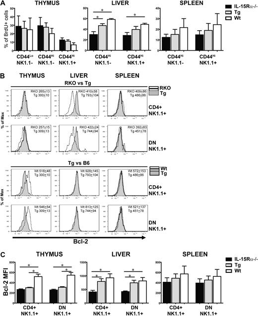 Figure 3. Proliferation and survival of peripheral iNKT cells are supported by DCs via IL-15 transpresentation. (A) The percentage of BrdU+ iNKT subsets in the thymus, liver, and spleen of IL-15Rα−/−, CD11c/IL-15Rα Tg, and WT mice after given BrdU (0.8 mg/mL) supplemented by drinking water for 7 days. Subsets consisted of the various stages of iNKT cell development as defined by CD44 and NK1.1 expression. Data are mean plus or minus SEM, derived from 2 independent experiments: n = 4 for IL-15Rα−/−, n = 5 for CD11c/IL-15Rα Tg, n = 4 for WT mice. *P ≤ .05. (B) Representative histograms comparing the levels of Bcl-2 expression from NK1.1+ subset-derived IL-15Rα−/− and CD11c/IL-15Rα Tg mice (top 2 panels) or CD11c/IL-15Rα Tg and WT mice (bottom 2 panels) in the various tissues. (C) MFI of Bcl-2 from CD4+ or DN NK1.1+ subsets isolated from the thymus, liver, and spleen of IL-15Rα−/−, CD11c/IL-15Rα Tg, and WT mice. Data are mean ± SEM, derived from 3 independent experiments; n = 6 to 8 mice/group. *P ≤ .05.