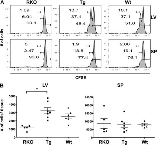 Figure 4. IL-15Rα+ DCs drive the homeostatic proliferation of mature iNKT cells. iNKT cells enriched from the thymus of WT congenic (CD45.1) mice were labeled with CFSE and then transferred to congenic (CD45.2) IL-15Rα−/−, CD11c/IL-15Rα Tg, and WT mice. Seven days after the transfer, mice were killed to assess the recovery and CFSE dilution of donor cells in the various tissues of the 3 groups of mice. (A) Dilution of CFSE by donor iNKT cells (CD45.1+) found in the spleen and liver 7 days after the adoptive transfer into congenic CD45.2+ IL-15Rα−/−, CD11c/IL-15Rα Tg, and WT mice. (B) Absolute number of donor iNKT cells (gated on CD45.1+ CD1d tetramer+ cells) recovered in the liver and spleen 7 days after the adoptive transfer into the 3 groups of mice. Horizontal bar represents the average of 3 independent experiments; n = 5 to 7 mice/group. *P < .001.