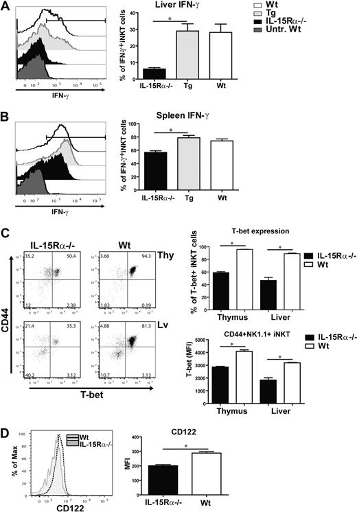 Figure 5. IL-15 signaling optimizes T-bet–induced gene products in iNKT cells. Peripheral iNKT cells were activated by administering α-GalCer to each group of mice. Two and half hours later, CD1d tetramer+ cells from the liver and spleen were analyzed for IFN-γ production via intracellular cytokine staining. iNKT cells from untreated WT mice were used as a negative control. Representative histograms showing the percentage of hepatic (A) and splenic (B) iNKT cells producing IFN-γ after α-GalCer administration from treated mice (IL-15Rα−/−, CD11c/IL-15Rα Tg, and WT mice) and untreated WT mice. The graph shows the average percentage of IFN-γ+ iNKT cells from the liver (A) and spleen (B) from all treated groups. Error bars represent SEM, derived from combined data from 2 independent experiments; n = 4 or 5 mice/group. *P ≤ .005. (C) Flow cytometric plots displaying CD44 and T-bet expression in CD1d tetramer+ cells from the thymus and liver of IL-15Rα−/− and WT mice. (Upper right) Percentage of T-bet+ iNKT cells from the thymus and liver of the 2 groups. *P < .001. (Bottom right) Average MFI of T-bet expression in CD44+NK1.1+ iNKT cells from IL-15Rα−/− and WT mice isolated from the thymus and liver. *P < .001. (D) Representative histogram of CD122 expression in thymic CD44+NK1.1+ iNKT cells from IL-15Rα−/− and WT mice; the average MFI of CD122 in thymic CD44+NK1.1+ iNKT cells from both groups. *P < .001. (C-D) Combined data from 2 independent experiments; n = 6 for both IL-15Rα−/− and WT mice. Error bars represent SEM.