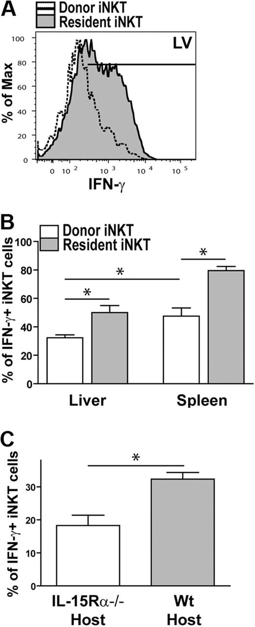 Figure 7. Thymic iNKT cells respond to α-GalCer in the periphery in an IL-15Rα-dependent manner. iNKT cells were enriched from the thymus of congenic (CD45.1) WT mice and transferred into a congenic (CD45.2) WT host to seed the periphery. Two days after the cell transfer, mice were injected with α-GalCer to activate iNKT cells in vivo. (A) Representative histogram showing the level of IFN-γ being produced by donor (open histogram) and resident iNKT cells (shaded histogram) in liver of mice that received α-GalCer 2 days after the adoptive transfer. (B) Bar graph of the combined data of IFN-γ+ donor (□) and resident () iNKT cells isolated from the liver or spleen of mice stimulated with α-GalCer in vivo. Data are generated from 2 independent experiments; n = 4. (C) Bar graph of the combined data of donor IFN-γ+ iNKT cells isolated from the liver of IL-15Rα−/− (□) and WT () mice. Data are generated from 3 independent experiments; n = 6 for IL-15Rα−/− host and n = 4 for WT host. Error bars represent SEM. *P < .05.