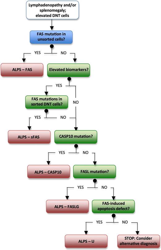 Figure 1. Suggested algorithm for diagnostic workup for patients with suspected ALPS. ALPS indicates autoimmune lymphoproliferative syndrome; and DNT, double-negative T lymphocytes.