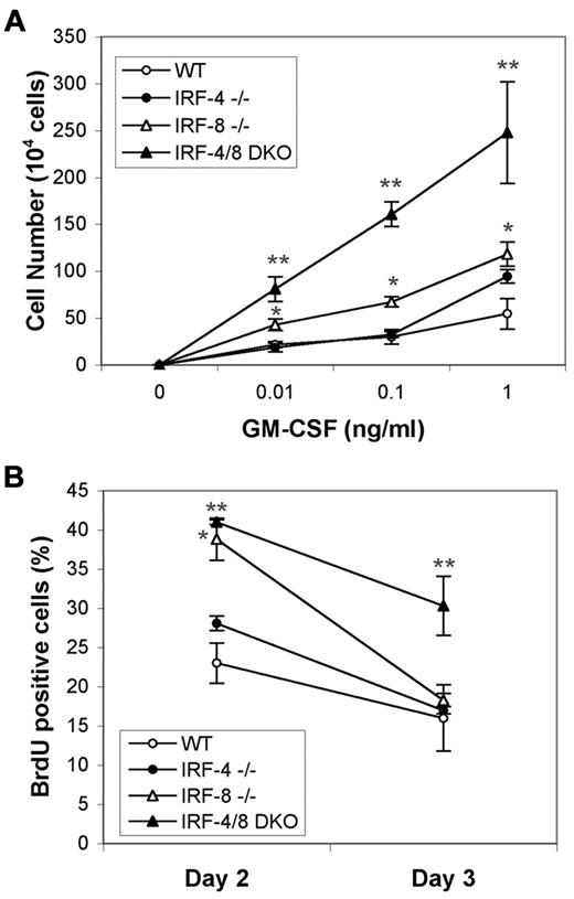 Figure 2. IRF-4/8 DKO progenitors are more sensitive to GM-CSF–stimulated proliferation than single KO cells. (A) Lineage-depleted BM cells (3 × 105 cells/well) were cultured for 4 days in the presence of GM-CSF, and viable cells were counted to determine the proliferative response of lin− progenitors to GM-CSF. *P < .035, comparisons between IRF-8 KO and wild-type cells at all 3 concentrations of GM-CSF. **P < .008, comparison between IRF-4/8 DKO and IRF-8 KO cells. (B) Growth of lin− progenitors in the presence of 0.1 ng/mL GM-CSF. BrdU incorporation was monitored. *P < .001, comparison between wild-type and IRF-8 KO cells at day 2. **P < .013 for comparison between wild-type and IRF-4/8 DKO cells at both day 2 and day 3.