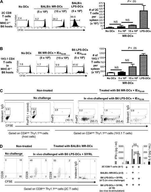 Figure 3. Therapeutic MR-DCs carrying donor-Ag fail to directly modulate antidonor T cells in vivo. (A) On the left, FACS analysis of CFSE-labeled 2C CD8+ T-cell proliferation when transferred into host MHC class I−/− B6 mice injected (or not, control) the next day with 5 × 106 or 15 × 106 BALB/c MR-DCs, or 5 × 106 BALB/c LPS-matured DCs. Analysis was performed 3 days after DC administration. Numbers in histograms are percentages of dividing 2C CD8+ T cells. On the right, bar diagram shows absolute numbers of 2C CD8+ T cells in the spleen. (B) On the left, FACS analysis of CFSE-labeled 1H3.1 CD4+ T-cell proliferation when transferred into host MHC class II−/− B6 mice injected (or not, control) the next day with 5 × 106 or 15 × 106 B6 MR-DCs pulsed with the BALB/c IEα52-68 allopeptide, or 5 × 106 B6 LPS-matured DCs pulsed with IEα52-68. On the right, bar diagram shows absolute numbers of splenic 1H3.1 CD4+ T cells. (C) In vivo analysis of donor-reactive CD4+ T-cell anergy. MHC II−/− B6 mice reconstituted with CFSE-labeled 1H3.1 CD4+ T cells were injected (or not, control) with B6 MR-DCs pulsed with BALB/c IEα52-68. After 7 days, mice were challenged in vivo, or not, with B6 LPS-matured DCs pulsed with IEα52-68. Three days later, proliferation of splenic 1H3.1 CD4+ T cells (in parentheses) and FoxP3 expression (in gated regions) were analyzed by FACS. (D) In vivo analysis of antidonor CD8+ T-cell anergy. MHC I−/− B6 mice reconstituted with CFSE-labeled 2C CD8+ T cells were injected intravenously (or not, control) with BALB/c MR-DCs. After 7 days, mice were challenged in vivo, or not, with B6 LPS-matured DCs pulsed with the 2C TCR agonistic peptide SIYRYYGL (SIYRL). Three days later, proliferation and CD28 expression of splenic 2C CD8+ T cells were analyzed by FACS, and IFN-γ and IL-2 secretion by splenic 2C T cells was assessed by ELISA after ex vivo restimulation (24 hours) with B6 LPS-matured DCs pulsed with SIYRL. Numbers in dot plots indicate percentages of cells. (A-D) Results represent 2 or more independent experiments with at least 3 animals per group. NS indicates not significant.