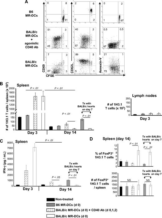 Figure 4. Effect of donor-derived MR-DC administration on the indirect CD4+ T-cell response. Host B6 mice received CFSE-labeled 1H3.1 Thy1.1+ CD4+ T cells and were injected intravenously (or not) the next day with control syngeneic (B6) MR-DCs, or BALB/c MR-DCs alone or plus agonistic CD40 Ab (intraperitoneally), the latter used as a positive control to promote full 1H3.1 T-cell activation. (A) Dot plots show proliferation, surface phenotype, and percentages of apoptotic cell death of splenic 1H3.1 CD4+ T cells (gated on Thy1.1 cells) analyzed by FACS, 3 days after MR-DC administration. (B) Absolute numbers of 1H3.1 Thy1.1+ CD4+ T cells in the spleen, 3 and 14 days after B6 (control) or BALB/c MR-DC (with and without CD40 Ab, intraperitoneally) intravenous administration in host B6 mice, in the absence or presence of BALB/c cardiac allografts transplanted 7 days after MR-DC administration. Absolute numbers of 1H3.1 cells did not change significantly in lymph nodes (cervical, axilar, mesenteric, inguinal), assessed 3 days after MR-DC infusion. (C) Amounts of IFN-γ (by ELISA) secreted by splenocytes of each group of recipient B6 mice restimulated ex vivo (24 hours) with the BALB/c IEα52-68 allopeptide. (D) Percentages and absolute numbers of splenic 1H3.1 FoxP3+ CD4+ T cells 14 days after MR-DC injection in each group of recipient B6 mice. NS indicates not significant. (A-D) Results represent 2 independent experiments with 3 or more animals per group (mean ± SD).