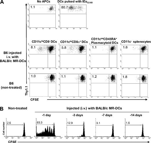 Figure 6. Donor-derived MR-DCs injected systemically are presented for a short-time by host CD11chi DCs. (A) Different subsets of splenic APCs from B6 mice nontreated (control) or injected 20 hours earlier with BALB/c MR-DCs were isolated by FACS sorting, then γ-irradiated and used as stimulators of CFSE-labeled 1H3.1 CD4+ T cells in 5-day MLCs. CFSE-labeled 1H3.1 T cells cultured alone or stimulated with splenic CD11c+ CD8− DCs prepulsed with IEα52-68 were included as negative and positive controls, respectively. Dilution of CFSE in 1H3.1 T cells (gated on CD4+ cells) was analyzed by flow cytometry. Numbers are percentages of dividing 1H3.1 CD4+ T cells. (B) Assessment of duration of presentation by host (B6) splenic APCs of the BALB/c IEα52-68 allopeptide derived from reprocessing of BALB/c MR-DCs on various days, before adoptive transfer of CFSE-labeled 1H3.1 CD4+ T cells. Numbers are percentages of dividing 1H3.1 CD4+ T cells in vivo. (A-B) Representative results from 2 or more independent experiments are shown.