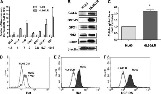Figure 1. Significant increase of a series of antioxidants in HL60/LR cells compared with parental HL60. (A) Comparison of mRNA expression of antioxidant genes in HL60 and HL60/LR cells by real-time PCR analysis. Numbers indicate fold increase in HL60/LR cells. Bars represent mean ± SD from 3 experiments. GCLC indicates glutamate-cysteine ligase, catalytic subunit; and GCLM, glutamate-cysteine ligase, modifier subunit. (B) Cell lysates of HL60 and HL60/LR were analyzed for the indicated antioxidant protein expression using immunoblot assay. β-Actin was used as loading control. (C) Increase of cellular GSH level in HL60/LR cells. Bars represent mean ± SD from 3 experiments. *P < .01 (Student t test). (D) HL60 cells were treated with 1μM vorinostat (Vor) for 18 hours, and cells were labeled with Het for 1 hour followed by flow cytometric analysis to detect O2− levels. Ctrl indicates control cells without treatment. (E-F) Representative histograms of significant decrease of O2− and H2O2 levels in HL60/LR cells versus HL60 as detected by fluorescent probe Het and DCF-DA, respectively.