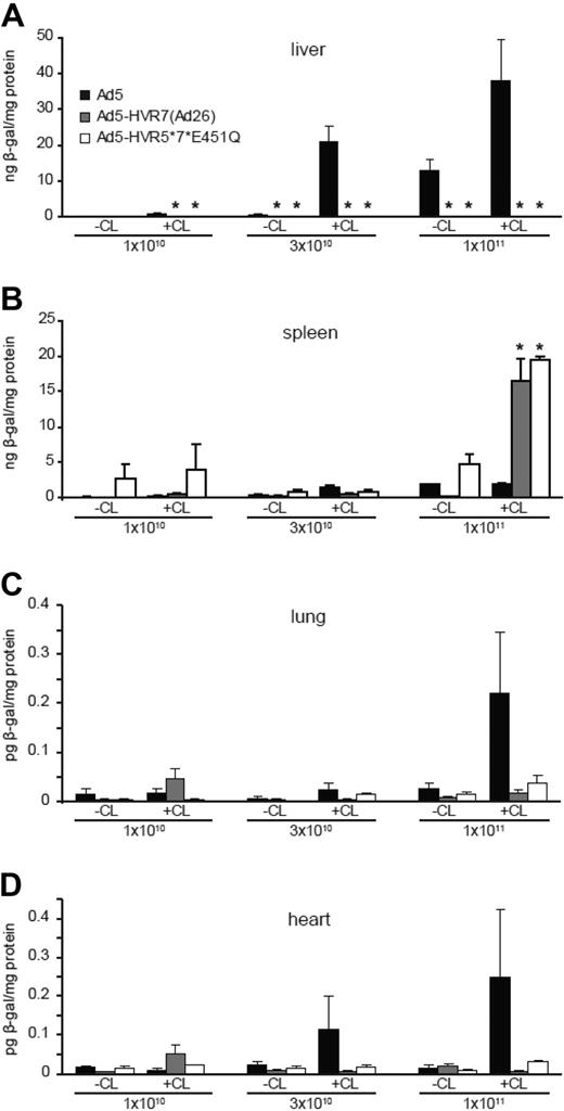 Figure 4. Transduction profiles of Ad5, Ad5-HVR7(Ad26), and Ad5-HVR5*7*E451Q in control (CL−) or macrophage-depleted (CL+) mice. β-galactosidase expression was quantified by ELISA and normalized to total protein content. Animals were killed 48 hours after injection and liver and spleen were harvested for analysis. Liver (A), spleen (B), lung (C), and heart (D) transduction profile at increasing doses (1 × 1010, 3 × 1010, and 1 × 1011 vp/mouse; *P < .05 vs Ad5, n = 5).