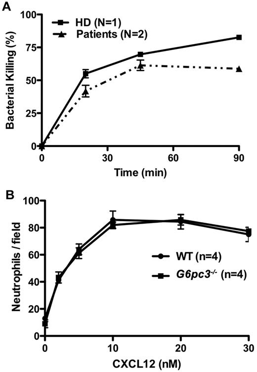 Figure 7. Neutrophil functional capacity in G6PC3 deficiency. (A) Defective microbicidal activity in neutrophils from patients with G6PC3 deficiency resulting from homozygous inheritance of G6PC3 G260R. Staphylococcus aureus was incubated with polymorphonuclear leukocytes from a healthy donor (HD) and the 2 patients in an 8:1 target/effector ratio. Bacterial killing kinetics is plotted for each donor as a percentage of colony-forming units observed for control S aureus incubated in the absence of neutrophils. Data were obtained after the patients were treated for 5 months with G-CSF and are from a single experiment in which each condition was tested in duplicate. (B) Purified mouse bone marrow neutrophils from G6pc3 knockout and wild-type littermate control mice chemotax to CXCL12 equally well (P > .05 at all time points). Data are summarized from 2 experiments with 2 mice in each group.
