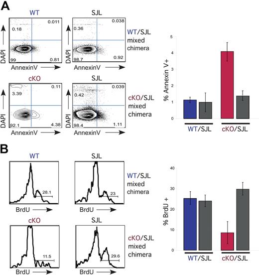 Figure 5. NKAP-deficient HSCs exhibit decreased survival and proliferation. (A) At day 4 after a single injection of poly-IC, bone marrow LSK cells were analyzed for viability using DAPI and annexin V, as well as CD45.1 to separate SJL from WT littermate or Mx1-cre NKAP cKO hematopoietic progenitors. A representative FACS analysis is shown at right, and the average from 3 WT/SJL and 3 cKO/SJL mixed chimeras is shown at left. The Mx1-cre NKAP cKO LSKs are signicantly different from the other 3 samples, P < .01 by Student t test. Error bars represent SD. (B) At day 4 after a single injection of poly-IC, bone marrow LSK cells were analyzed for proliferation by BrdU incorporation, as well as CD45.1 to separate SJL from WT littermate or Mx1-cre NKAP cKO hematopoietic progenitors. BrdU was injected intraperitoneally 14 hours prior to killing. A representative FACS analysis is shown at right, and the average from 3 WT/SJL and 3 cKO/SJL mixed chimeras is shown at left. The Mx1-cre NKAP cKO LSKs are signicantly different from the other 3 samples, P < .04 by Student t test. Error bars represent SD from the mean.