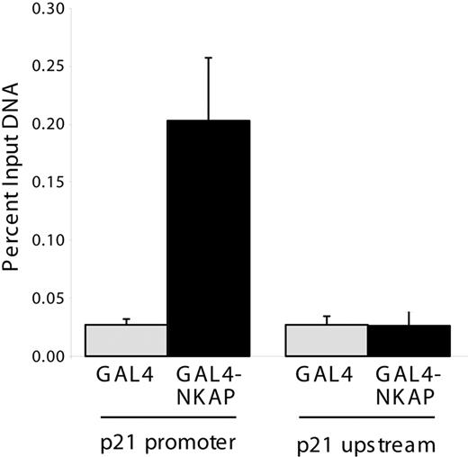 Figure 7. Chromatin immunoprecipitation of NKAP at the p21 promoter. 293:Gal4-TK-luc cells were transfected with Gal4DBD or Gal4DBD-NKAP and ChIP was performed using anti-Gal4. DNA recovered by ChIP was compared with input DNA from each transfection by Q-PCR to measure the quantity of p21 promoter or upstream genomic sequence. Data shown are from 3 independent immunoprecipitations. Error bars show SD.