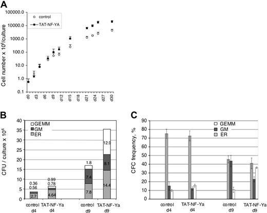 Figure 6. Ex vivo expansion and colony-forming potential of peripheral blood CD34+ cells after treatment with TAT-NF-Ya. Human peripheral blood CD34+ cells were treated with TAT-NF-Ya (or not treated) for 1.5 hours and then cultured for 30 days in serum-free media supplemented with Flt-3/Flk-2L, SCF, thrombopoietin (100 ng/mL each), and IL-3 and IL-6 (20 ng/mL each). Total mononuclear cells (A) were counted; the number of colony-forming erythroid (ER indicates BFU-E), CFU-GM, and CFU-GEMM were measured by methylcellulose assays (B), and the relative contribution to the progenitor cell pool of each class of progenitors calculated (C).