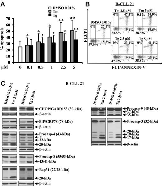 Figure 6. Effect of tunicamycin and thapsigargin on spontaneous B-CLL cell apoptosis. (A-C) Freshly isolated B-CLL cells were cultured for 24 hours in complete medium with the indicated concentrations of tunicamycin (Tm), thapsigargin (Tg), or DMSO as control (n = 6). Apoptosis was evaluated by flow cytometric analysis of hypodiploid nuclei (A) and annexin V/PI staining (B). (A) Data are mean ± SD of all 6 patients examined. *P < .05, **P < .01 (each agent vs DMSO) according to Student t test. (B) Results are the percentage of viable (annexin V−/PI−), early apoptotic (annexin V+/PI−), late apoptotic (annexin V+/PI+), and necrotic cells (annexin V−/PI+). (C) The expression of CHOP/GADD153 and BiP/GRP78, and the cleavages of caspase-3, -4, -8, and -9 and Bap31 were analyzed by Western blot (40 μg whole-cell lysates for CHOP/GADD153 and 20 μg for all other proteins). Protein loading was assessed by reprobing the blots with an anti–β-actin mAb. (B-C) Data shown for patient 21 are representative of 6 patients.