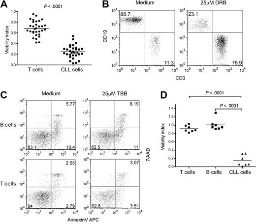 Figure 3. CK2 inhibition selectively targets the viability of CLL cells without significantly affecting normal lymphocytes. (A-B) PBMCs from CLL patients (n = 31) were cultured with 25μM DRB and viability of T cells and CLL cells was assessed after 48 hours. (A) Viability index, calculated as the ratio between viable cells in medium with and without CK2 inhibitor, was compared between T and CLL cells within each patient sample. (B) CD3/CD19 phenotype of viable (annexin V/7-AAD double-negative) PBMCs from a representative CLL patient. CD3+CD19−, T cells; CD3−CD19+ CLL cells. Numbers represent the percentage of cells in each quadrant. (C-D) PBMCs from CLL patients (n = 7) and age-matched healthy controls (n = 7) were cultured for 48 hours with or without 25μM TBB. (C) Viability of normal B and T cells was determined by annexin V/7-AAD staining. Results from one representative healthy donor are shown. Numbers represent the percentage of cells in each quadrant. (D) Viability index was compared between normal T and B cells from healthy donors and leukemic B cells from CLL patients.