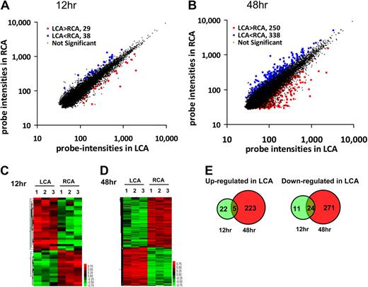 Figure 1. Global gene expression profiles in response to disturbed flow in mouse carotid artery endothelium in vivo. Total RNAs were obtained from intima of mouse left carotid (flow-disturbed, LCA) and right carotid (contralateral control, RCA) 12 and 48 hours after ligation. Illumina BeadChips containing 45 281 mouse genome-wide probes were used for the array study. Scatter plots show normalized intensities of each probe under 2 experimental conditions: LCA versus RCA at 12 hours (A) and 48 hours (B) after ligation. Genes that were up-regulated (red) or down-regulated (blue) (≥ 1.5-fold) at the FDR (≤ 10%) in LCA compared with RCA. (C-D) Hierarchical clustering analyses of mechanosensitive genes found in LCA endothelium compared with that of RCA are shown as heat maps. Each column represents a single sample pooled from 3 different LCAs or RCAs, and each row represents a single gene probe. (E) Venn diagrams show the temporal effects of disturbed flow on the number of up- or down-regulated mechanosensitive genes.