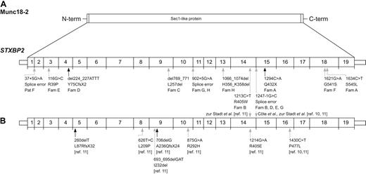Figure 1. Location of STXBP2 mutations relative to exon structure. (A) Sites of mutations described in this report. (B) Sites of previously reported mutations. Exon borders are indicated. Black arrows indicate disruptive nonsense and small deletion mutations; and gray arrows, missense mutations and splice-site mutations.