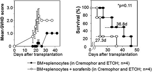 Figure 1. Sorafenib worsens GVHD and shortens survival when given after a T cell–replete allogeneic SCT in mice with RENCA tumors. GVHD score and survival in tumor bearing mice undergoing allogeneic SCT using BM + splenocytes with or with sorafenib given by oral gavage after transplantation. GVHD score was assessed by the following symptoms: alopecia (0-4 points), hunched posture (0-2 points), ear or eye irritation (0-1 points). Error bars (left panel) show standard error of the mean.