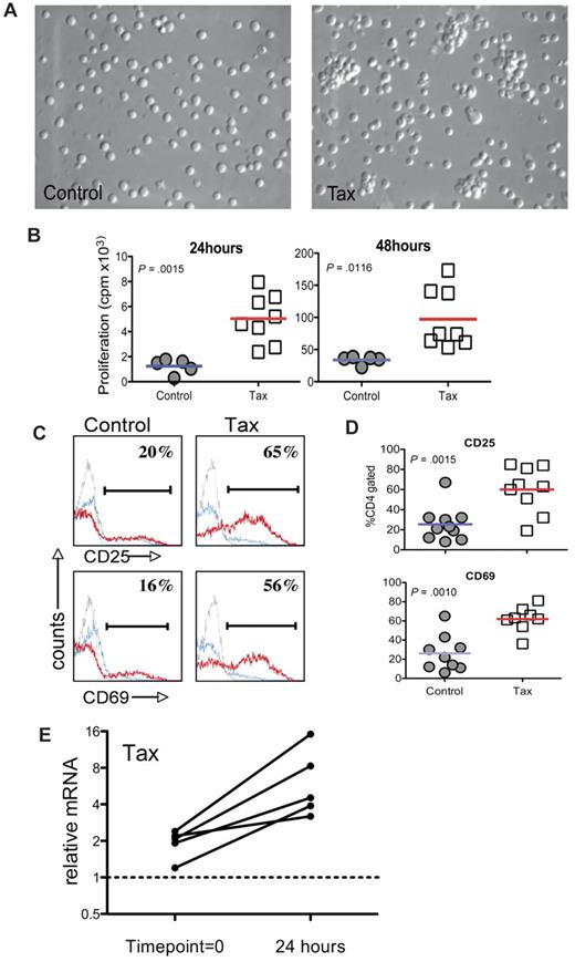 Figure 1. LTR-Tax CD4+ T cells are hyper-responsive to immune stimulation. CD4+ T cells enriched from splenocytes of LTR-Tax transgenic or littermate control mice were stimulated with plastic-coated anti-CD3 and soluble anti-CD28 in vitro (1 × 106 cells/mL) and compared after 24 hours. The LTR-Tax CD4+ T cells exhibited enhanced activation compared with control CD4+ T cells as demonstrated by: (A) physical clustering of cells; (B) increased proliferation, as measured by 3H-thymidine incorporation (results for individual animals shown); (C) greater percentages of cells expressing the surface activation markers CD25 or CD69, as detected by immunofluorescence and flow cytometry after activation with anti-CD3 and anti-CD28 (stimulated, red line; unstimulated, blue line; isotype control, gray line) in a representative animal; (D) greater percentages of cells expressing CD25 or CD69 after activation with anti-CD3 and anti-CD28 (all animals shown, lines represent means); and (E) relative Q-PCR analysis of Tax mRNA in LTR-Tax CD4+ T cells, 24 hours after immune stimulation, compared with RNA from time point = 0 (prior to activation). Tax mRNA levels in each sample were normalized to RNA levels of the housekeeping control gene, ASL. Solid lines show normalized Tax mRNA levels for T cells derived from individual mice. Micrographs were obtained by visualization with a 20× objective lens, using a Nikon EclipseTE2000-S microscope, Roper Scientific Photometrics imaging system, and Image Pro plus image acquisition software Version 4.5.0.29.