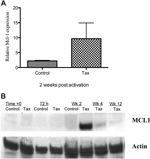 Figure 5. Increased Mcl-1 expression in immune stimulated LTR-Tax CD4+ T cells. (A) Mcl-1 mRNA was quantitated in Tax and control CD4+ T cells 2 weeks after stimulation. mRNA levels were normalized to basal levels measured at time = 0. Values represent mean ± SEM of 3 separate experiments. (B) Mcl-1 protein expression by Tax and control CD4+ T cells at various times after activation was measured by Western blot analysis. Actin expression was measured as a housekeeping control.