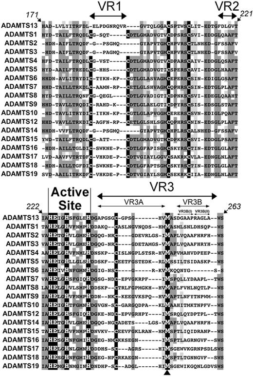 Figure 1. Identification of variable regions (VR) within the ADAMTS13 MP domain. Amino acid sequence alignment of ADAMTS13 MP domain (residues 171-263) with other ADAMTS family MP domains. The active site HEXHXXXXXH sequence is labeled, and the perfectly conserved Met-turn methionine is indicated (arrowhead below alignment). Conserved (dark gray) and homologous (light gray) regions are highlighted; Cys residues are shown in black. Variable/nonconserved regions VR1, -2, -3, -3A, -3B, -3B(I), and -3B(II) are depicted by arrows.