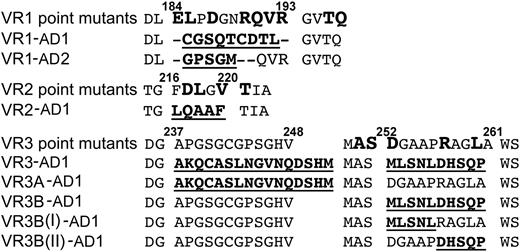 Figure 3. ADAMTS13 MP domain variants. The wild-type ADAMTS13 MP domain sequence for VR1, -2, and -3 and flanking amino acids are shown. Single residues targeted for mutagenesis are shown in large bold type (point mutants). The different VR swaps are shown with the residues in the replaced sequence in bold/underlined.